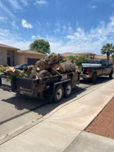 tree service kingman az